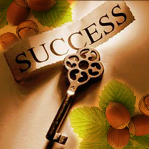 Веды успеха.