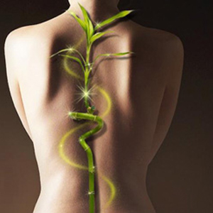 Терапия. Мануальная Терапия