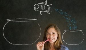 Business woman, student or teacher with fish jumping from small bowl to big bowl on blackboard background